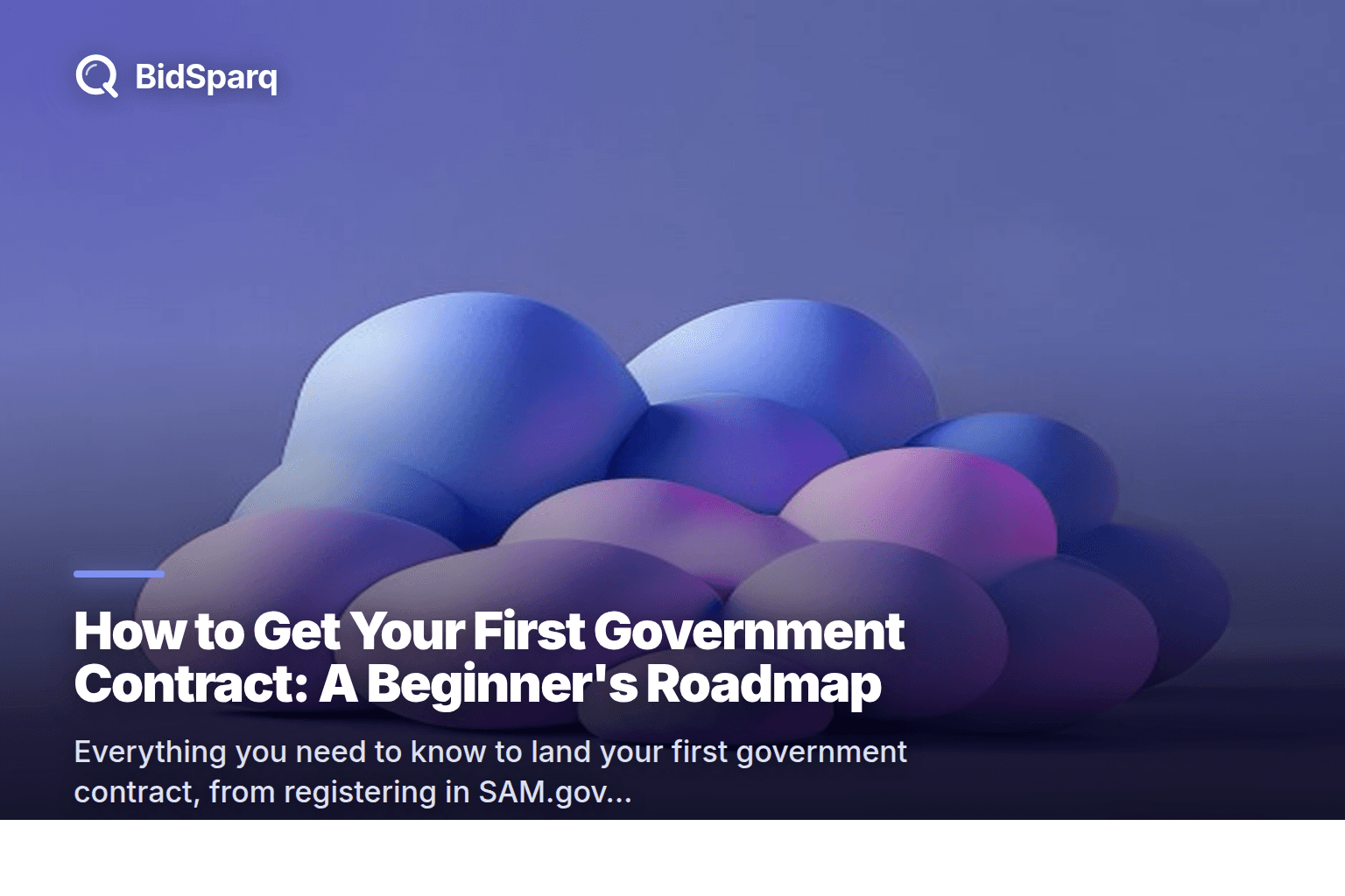 How to Get Your First Government Contract: A Beginner's Roadmap