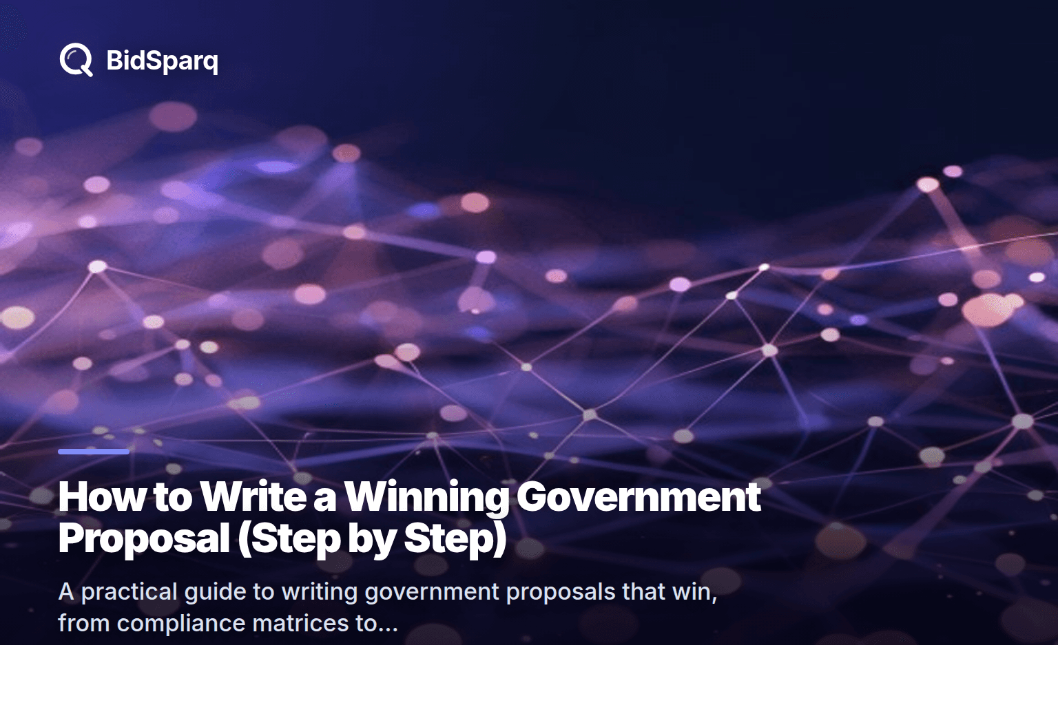 How to Write a Winning Government Proposal (Step by Step)