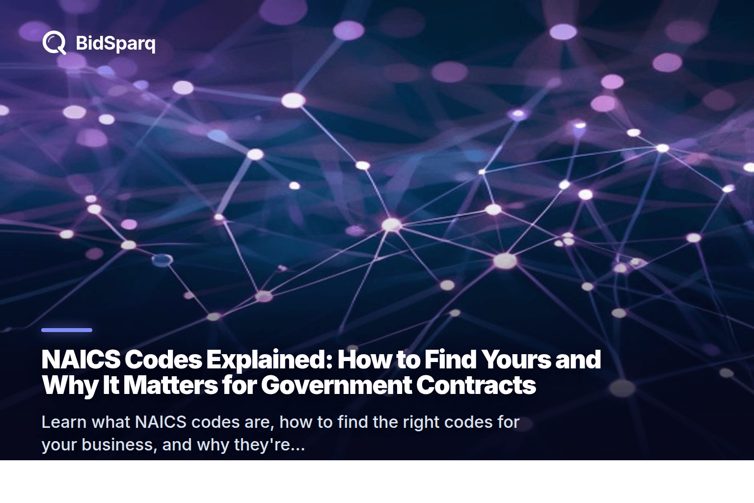 NAICS Codes Explained: How to Find Yours and Why It Matters for Government Contracts