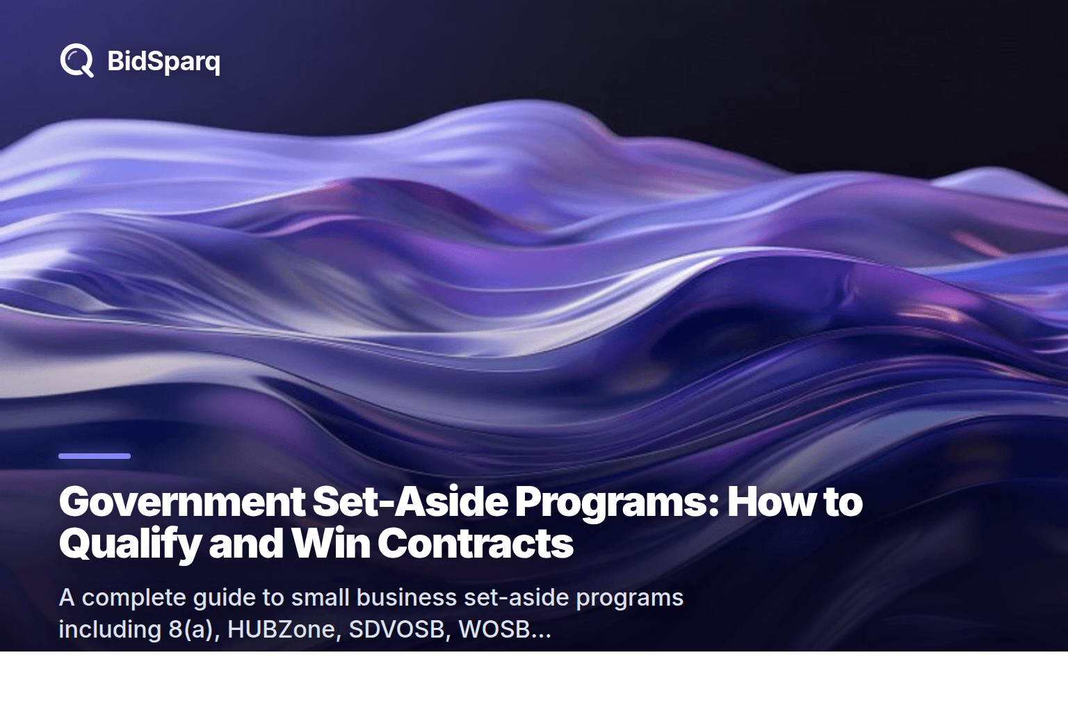 Government Set-Aside Programs: How to Qualify and Win Contracts