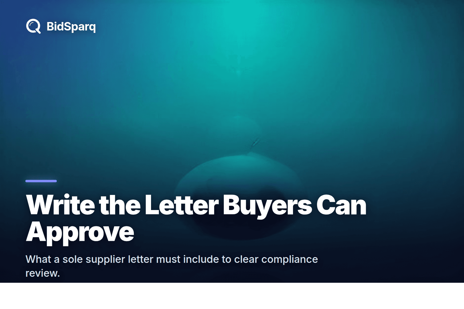 How to Write a Sole Supplier Letter That Gets Approved