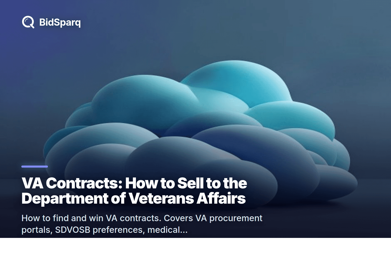 VA Contracts: How to Sell to the Department of Veterans Affairs