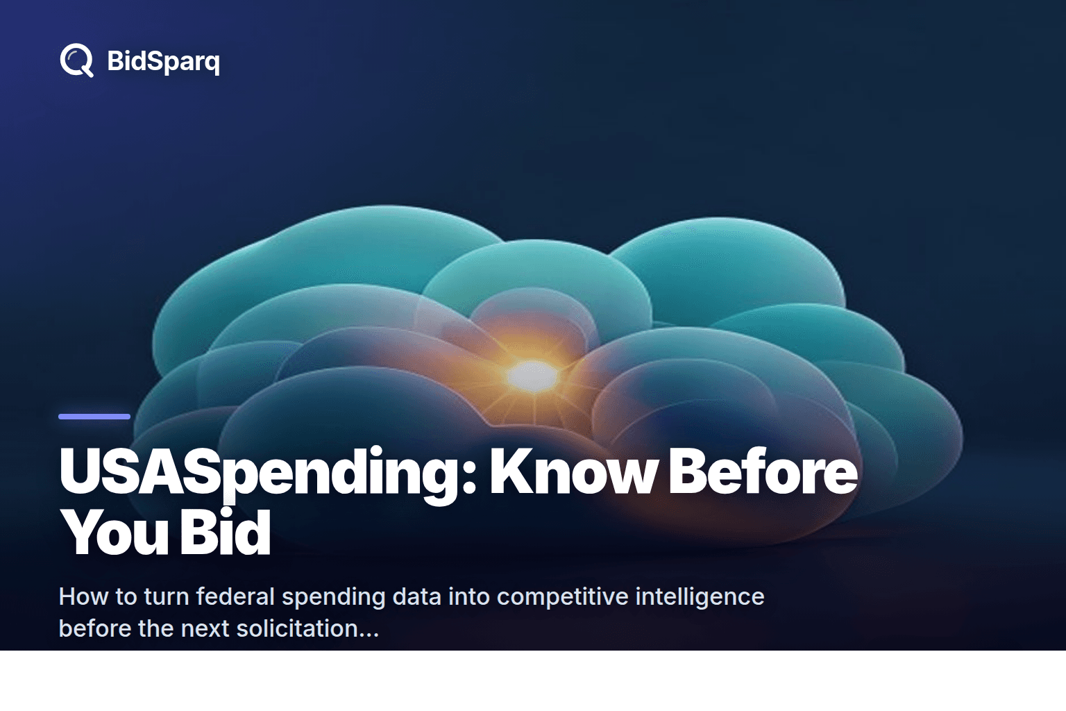 What Is USASpending and How Bidders Use It to Win