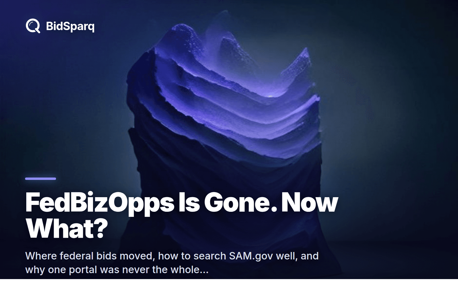 FedBizOpps Gov Website: Where Federal Bids Live Now