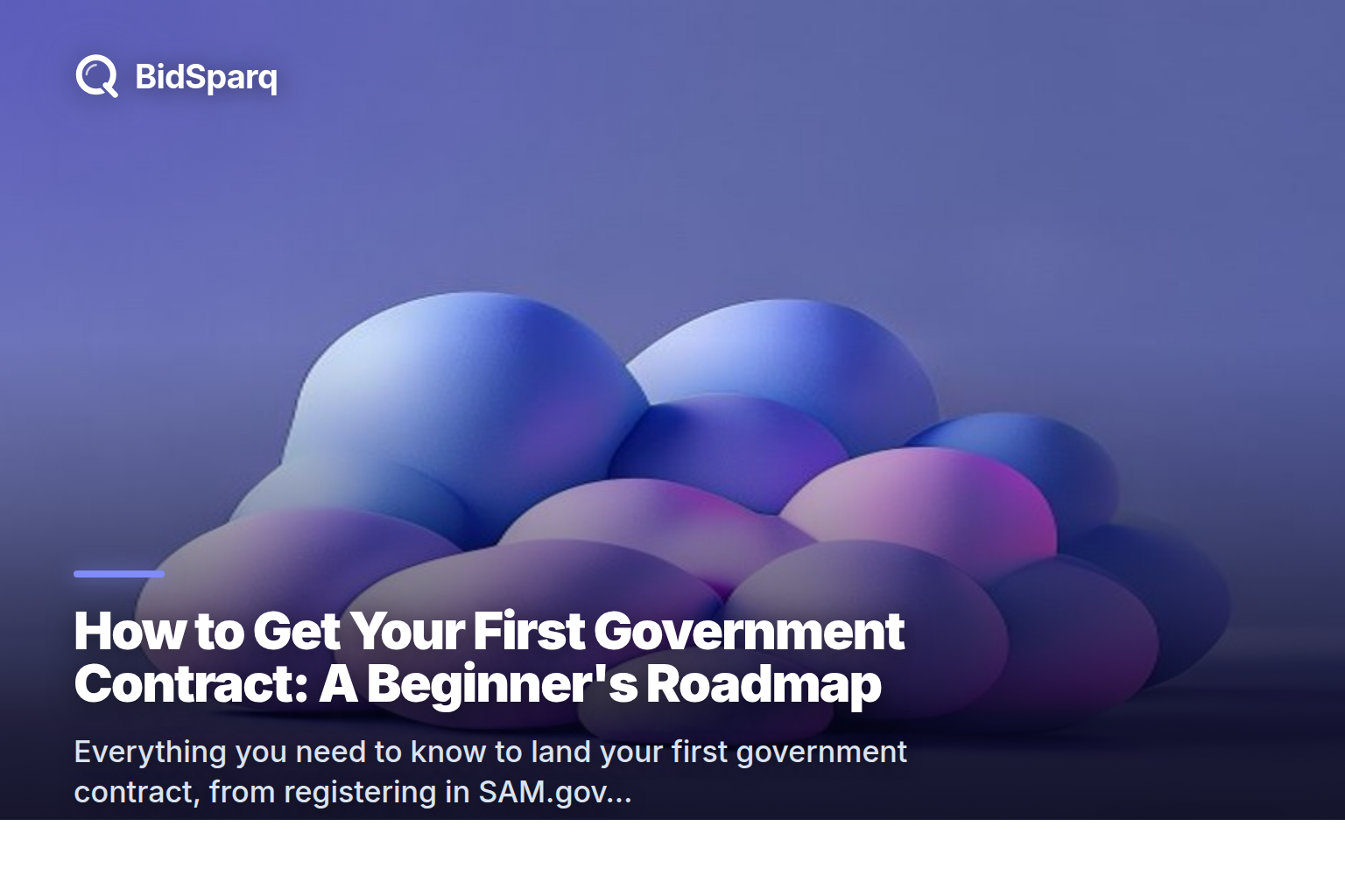 How to Get Your First Government Contract: A Beginner's Roadmap
