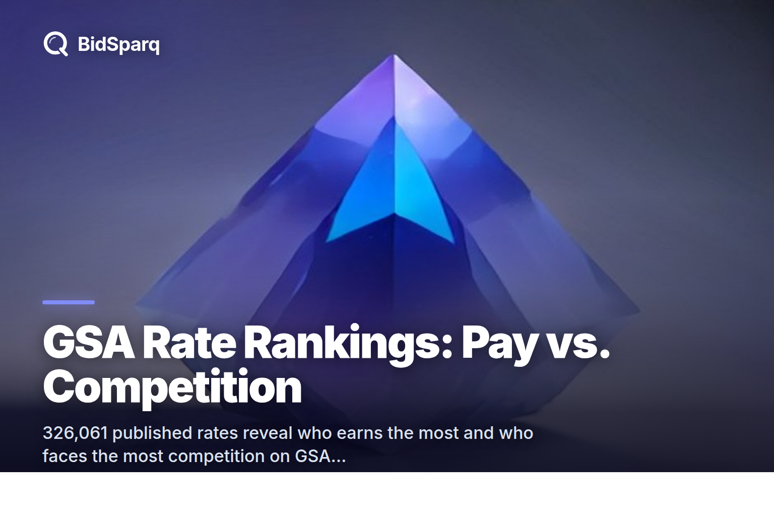 GSA Labor Rates: Who Earns Most and Who Competes Most
