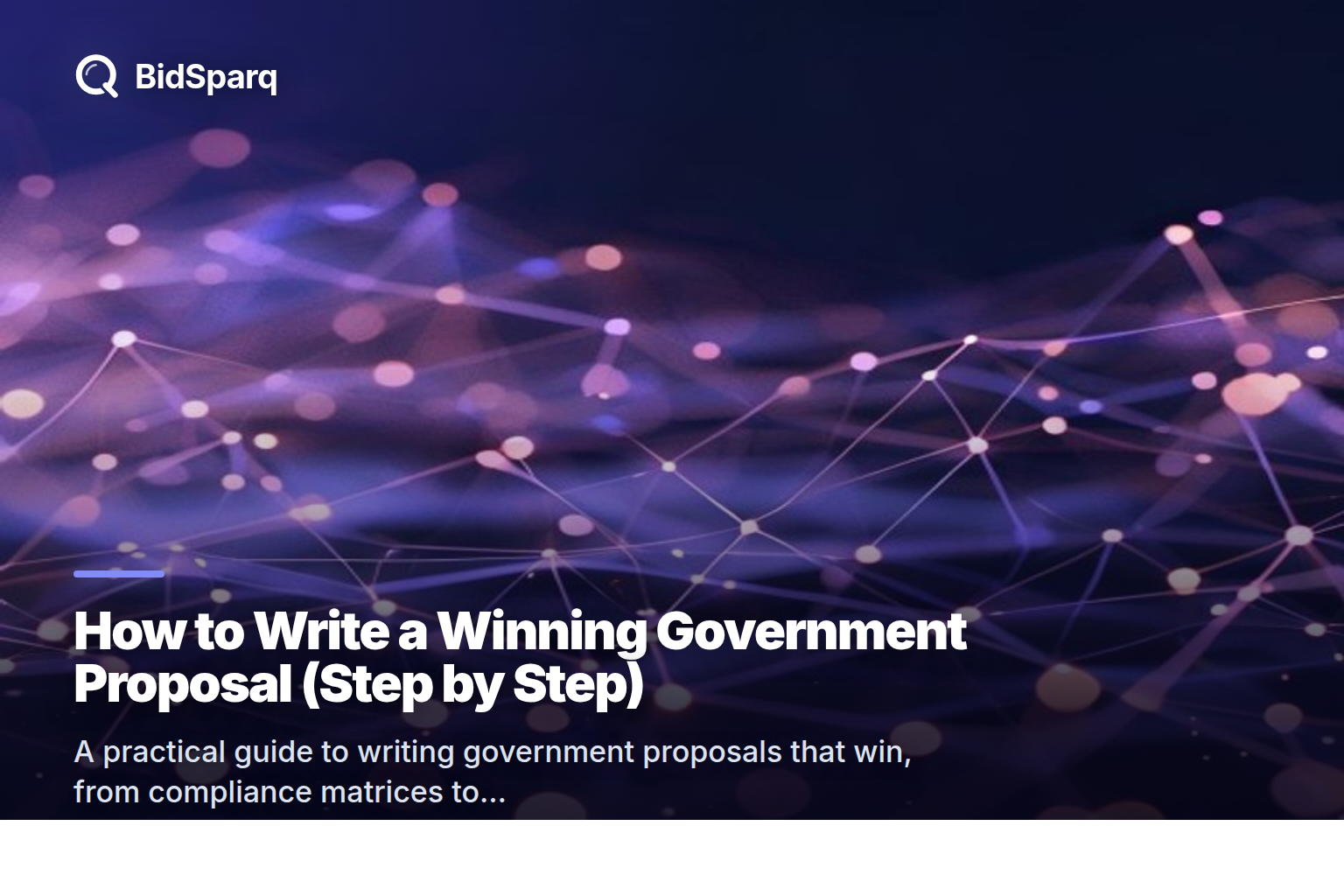 How to Write a Winning Government Proposal (Step by Step)