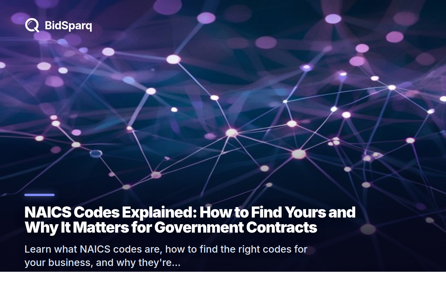 NAICS Codes Explained: How to Find Yours and Why It Matters for Government Contracts